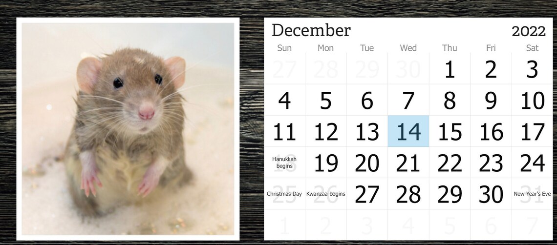 SNACKS 2022 Desk Calendar Rats Eating Snacks Etsy