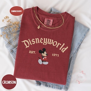a red t-shirt with the Disneyworld logo and text, along with a pair of jeans and some dried flowers.