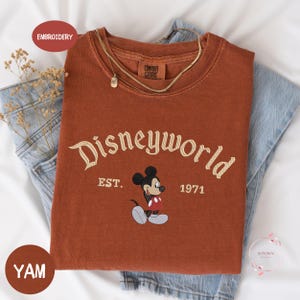 a red t-shirt with the text "Disneyworld EST. 1971" and a Mickey Mouse graphic, along with a denim jacket and some flowers.