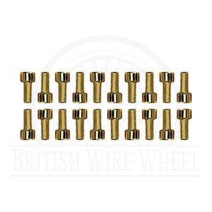 May include: Twenty gold-colored metal screws with hexagonal heads.