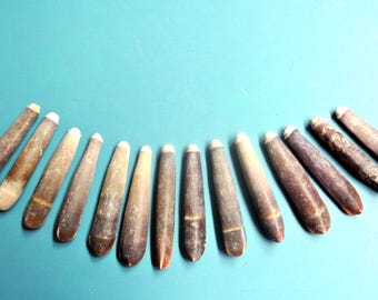 Vintage 1970s Natural Sea Urchin Spines Pendants (Lot of 14)