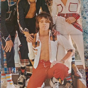 Bay City Rollers - Wouldn&#39;t You Like It? Vinyl Album - Mint Condition 1975