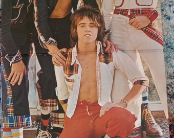 Bay City Rollers - ¿No te gustaría? Álbum de vinilo - Impecable, 1975