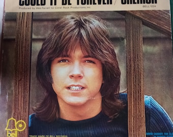Rare 1970s 7 inch vinyl singles - Barron Knights, Hot Chocolate, Lou Reed, Alice Cooper, Chicory Tip, Joe Jackson, David Cassidy, Bee Gees..
