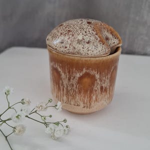 Puede incluir: Un pequeño tarro de cerámica con tapa. El tarro es de color marrón cálido con una tapa moteada y un efecto de esmalte goteado. El tarro probablemente se utiliza para guardar condimentos o artículos pequeños. Una ramita de flores blancas está en primer plano.
