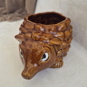 Vintage Denmead Pottery Hedgehog Planter 1970-talet