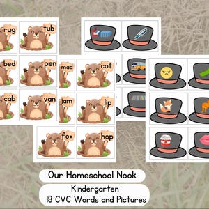 May include: A set of 18 printable flashcards featuring a groundhog holding a word card. The words are CVC words, which are words with a consonant, vowel, and consonant sound. The words are: tub, rug, bed, pen, mad, cot, cab, van, jam, lip, fox, hop.