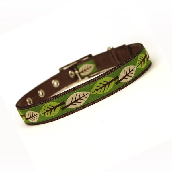 SALE - olive leaves fall metal buckle dog collar (3/4 inch)
