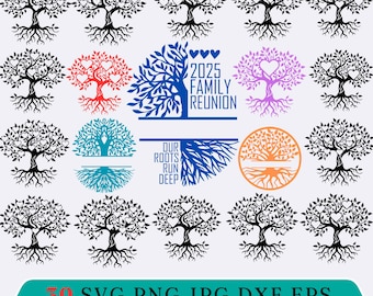Family Tree SVG PNG Bundle, Family Tree Svg, Our Roots Run Deep Family Reunion Svg, Family Tree Shirts, Instant Download, Files For Cricut,