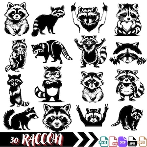 30 wasbeer SVG-bundel, wasbeer Svg, wasbeer hoofd Svg, wasbeer Png, clipart wasbeer, wasbeer gesneden bestand, charmante wasbeer, wasbeer liefhebbers SVG