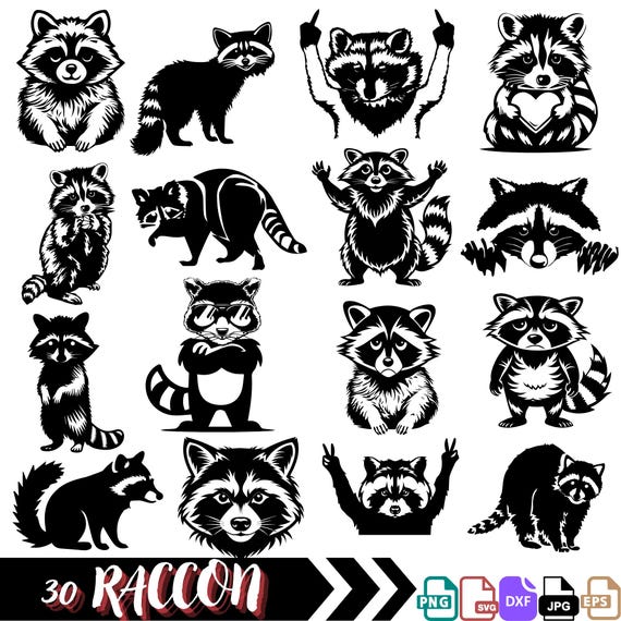 Raccoon SVG Bundle, Cute Raccoon Clipart, Raccoon Head PNG, Woodland Animal Digital Cut Files, Raccoon Silhouette, Wildlife Art Printables