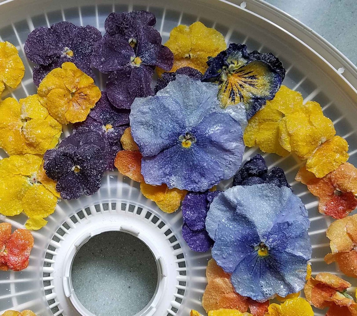 Edible Crystallized Flower Confetti All Natural Sprinkles Etsy