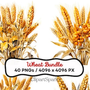 Peut inclure: Illustration numérique de quatre bouquets de blé aux tons dorés et bruns. L'image comprend le texte "Wheat Bundle" et "40 PNGs / 4096 x 4096 PX". Une bannière rouge en haut à gauche indique "SPECIAL OFFER".