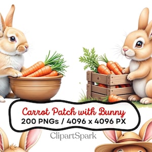 Pacchetto PNG con carota e coniglietto 200 PNG 4096 x 4096 PX Clipart di un simpatico coniglio con sfondo trasparente