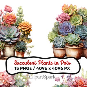 Colección de imágenes prediseñadas de plantas suculentas en macetas: 15 PNG, 4096 x 4096 px, fondo transparente para diseños de naturaleza, jardín y botánica.