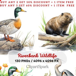 Paquete de vida salvaje en la ribera del río / 130 PNG con fondo transparente / Patos, garzas, castores y gráficos de la naturaleza para manualidades y proyectos de bricolaje