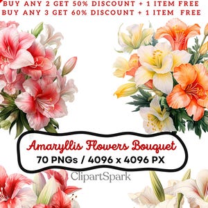 Amaryllis Flowers Clipart Collection 70 PNGs 4096x4096 px Watercolor Bouquets Transparent Background Digital Download