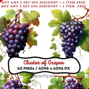 Elegant Cluster of Grapes Clipart Collection – 40 PNGs, 4096x4096px, Transparent Background, Perfect for Wine & Vineyard Designs