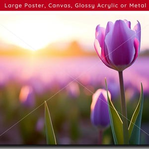 Purple Tulip Wall Art comes in Canvas, Poster, Acrylic and Metal | Canvas | Colorful Print |Floral Artwork | Purple Wall Art | Tulip |Spring