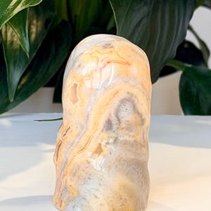 Escultura de Cristal da Morte de 5 cm | Cura Natural | Ágata Crazy Lace imagem 5