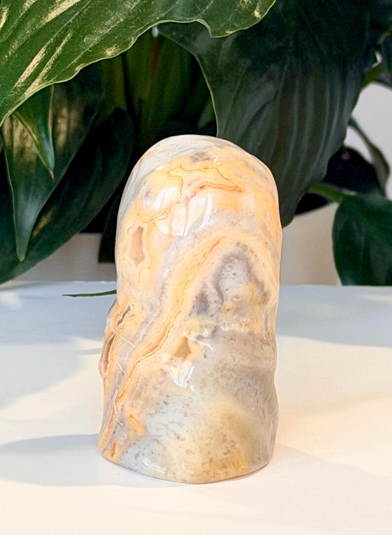 Escultura de Cristal da Morte de 5 cm | Cura Natural | Ágata Crazy Lace imagem 5