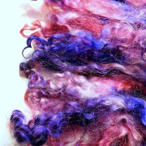 Teeswater Wool Locks: Berry Tones, Curly Doll Hair, Spinning Fiber (0.8 oz)