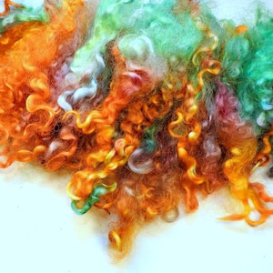Dyed Wensleydale Wool Locks: Orange, Green, Silky Curls (2.3 oz)