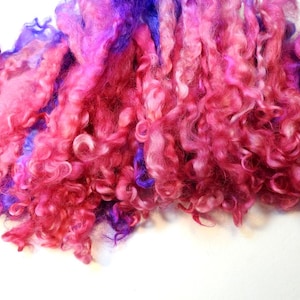 Dyed Wensleydale Wool Locks: Pink & Purple Blend for Spinning, Felting, Weaving (1.6 oz)