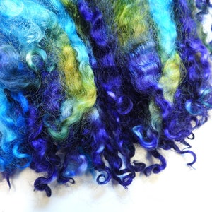 Dyed Teeswater Wool Locks: Aqua Purple Green, Curly Hair Felting (1.4 oz)