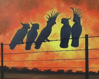 Cockatoo at Dusk. Cockatoos relaxing on fence
