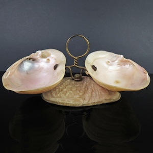 May include: A decorative seashell display featuring two open, pearlescent shells with a pale pink interior, mounted on a textured base. A gold-colored metal wire frame holds the shells, creating a unique, elegant design.