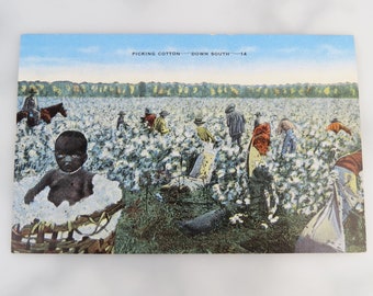 Antique early 1900s ' Picking Cotton Down South ' historical postcard by Kropp Co