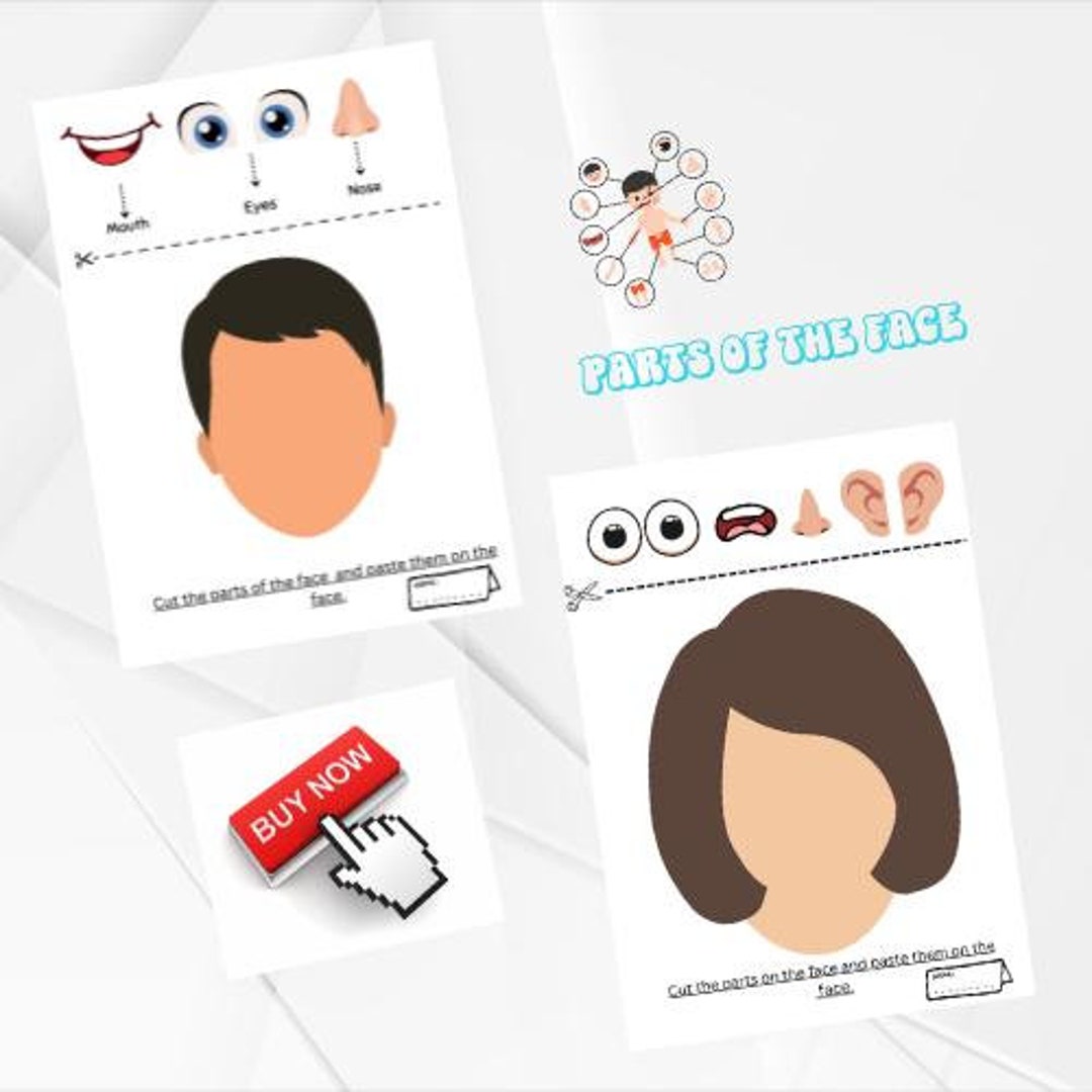 Educational Face Parts Anatomy Chart for Kids Modern Wall Art for Home ...