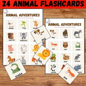 Animal Flashcards| Printable Flashcards| Preschool Flashcards| Toddler Flashcards| Baby Flashcards|Animal Cards|Flashcards PDF