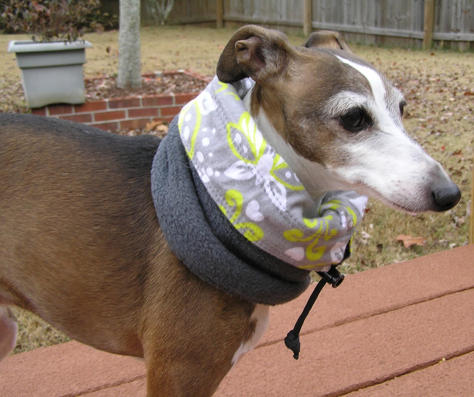 Sadie Fleece and Flannel Dog Snood Reversible Etsy
