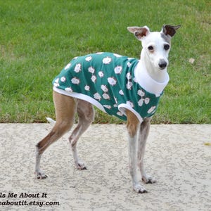 May include: A white and brown Italian Greyhound wearing a green and white dog shirt with a white trim. The shirt has a pattern of white cartoon dogs on a green background. The dog is standing on a concrete surface.