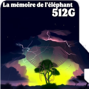 Micro SD memory card