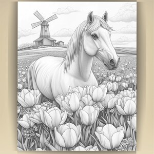 Horse Coloring Book for Adults: Countryside Scenes PDF (73 Pages) (Digital Download image 5
