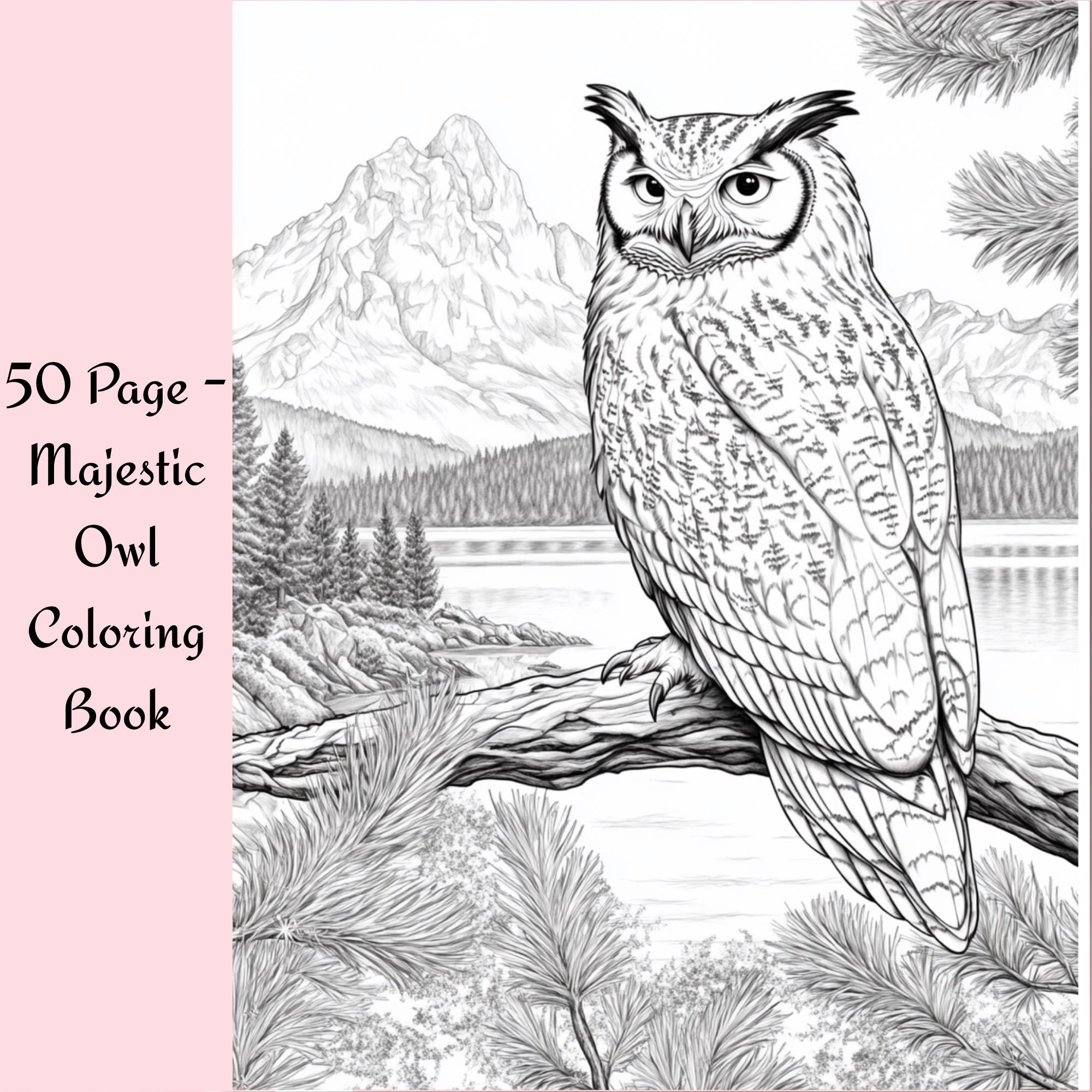 Majestic Owl Coloring Book: 50 Printable Pages for Adults - Relaxing Bird Art Therapy