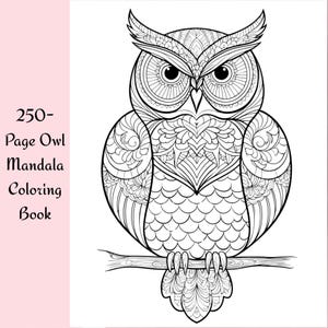 250 Owl Mandala Coloring Pages: Relaxing Adult Art Therapy With Bonus ...
