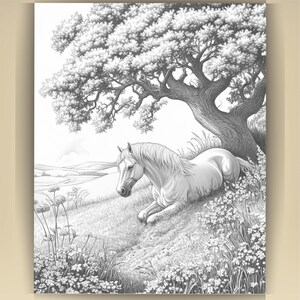 Horse Coloring Book for Adults: Countryside Scenes PDF (73 Pages) (Digital Download image 13