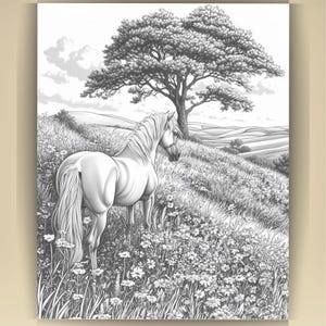 Horse Coloring Book for Adults: Countryside Scenes PDF (73 Pages) (Digital Download image 8