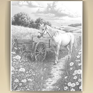 Horse Coloring Book for Adults: Countryside Scenes PDF (73 Pages) (Digital Download image 3