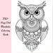 250 Owl Mandala Coloring Pages: Relaxing Adult Art Therapy With Bonus ...