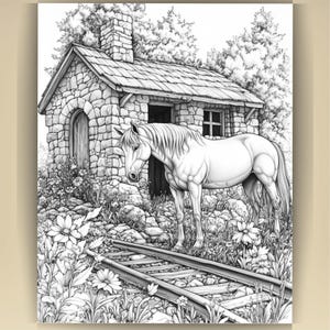Horse Coloring Book for Adults: Countryside Scenes PDF (73 Pages) (Digital Download image 7