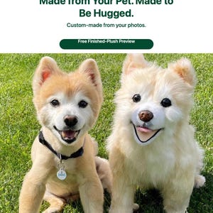 May include: A light tan dog with a black collar and a round tag sits next to a plush toy replica of itself. The text reads: Dragon Moss, Made from Your Pet. Made to Be Hugged. Custom-made from your photos. Free Finished-Plush Preview.