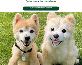 May include: A light tan dog with a black collar and a round tag sits next to a plush toy replica of itself. The text reads: Dragon Moss, Made from Your Pet. Made to Be Hugged. Custom-made from your photos. Free Finished-Plush Preview.