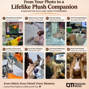 May include: An advertisement for custom plush replicas. The image shows the process, from photo review to final check, with examples of plush parrots, cats, and dogs. Text reads "From Your Photo to a Lifelike Plush Companion."