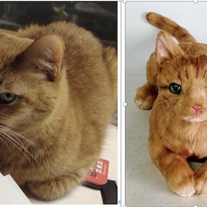 May include: An orange tabby cat is shown in two images. One is a real cat, the other is a plush toy. The real cat is looking to the left, while the toy cat is facing forward. The toy cat has green eyes and a pink nose.