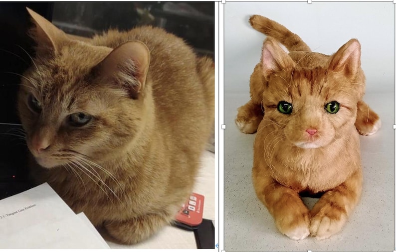 May include: An orange tabby cat is shown in two images. One is a real cat, the other is a plush toy. The real cat is looking to the left, while the toy cat is facing forward. The toy cat has green eyes and a pink nose.